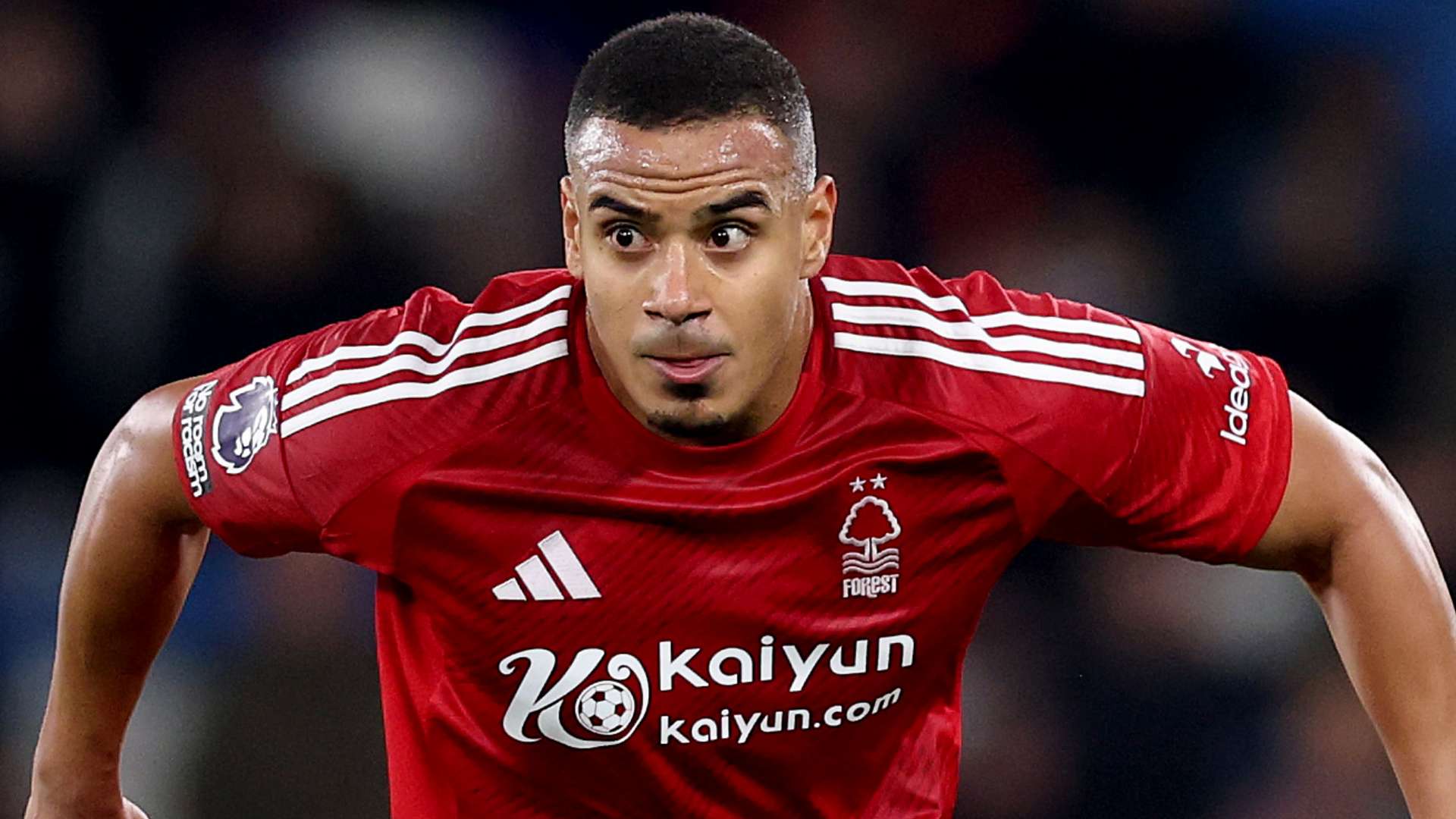 队徽背后的 队徽背后的